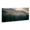Stupell Industries Morning Sun over Misty Trees Canvas Wall Art